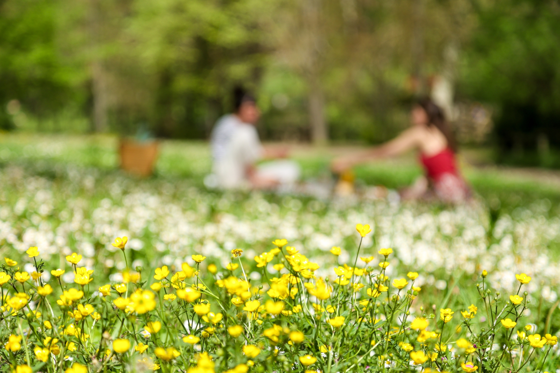 Par som sitter på en filt och har picknick på en sommaräng i solnedgången – en stilla stund av närvaro och enkelhet.